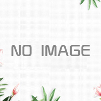 煤矿区域治理防塌堵漏剂
